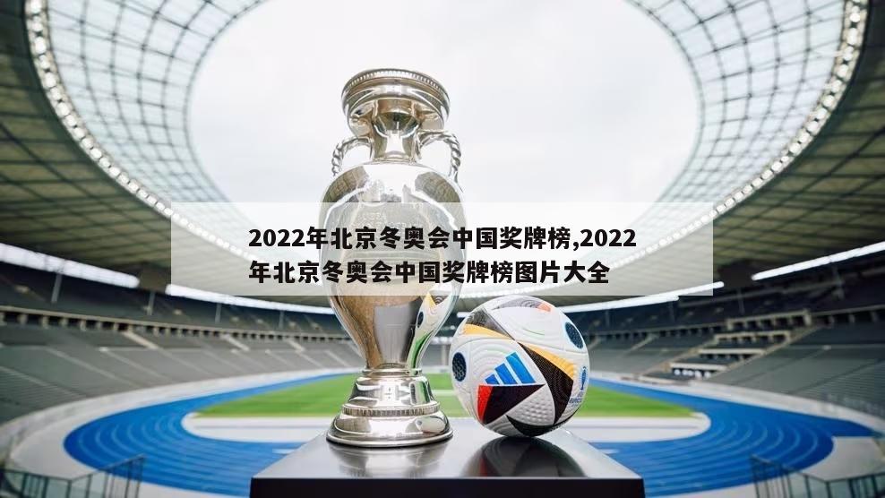 2022年北京冬奥会中国奖牌榜,2022年北京冬奥会中国奖牌榜图片大全